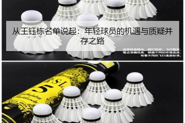 cong-wang-yu-dong-ming-dan-shuo-qi-nian-qing-qiu-yuan-de-ji-yu-yu-zhi-yi-bing-cun-zhi-lu-2-778.jpg
